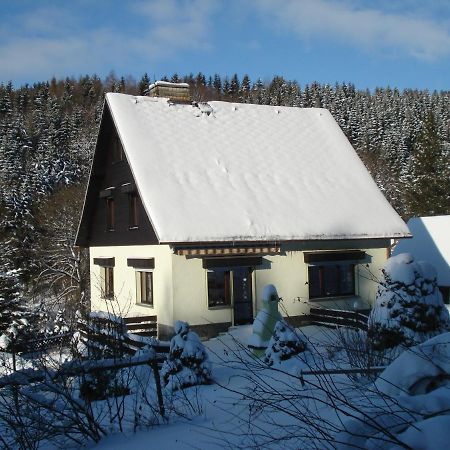 Erzgebirgsdomizil Am Schwartenberg Neuhausen  Exterior foto